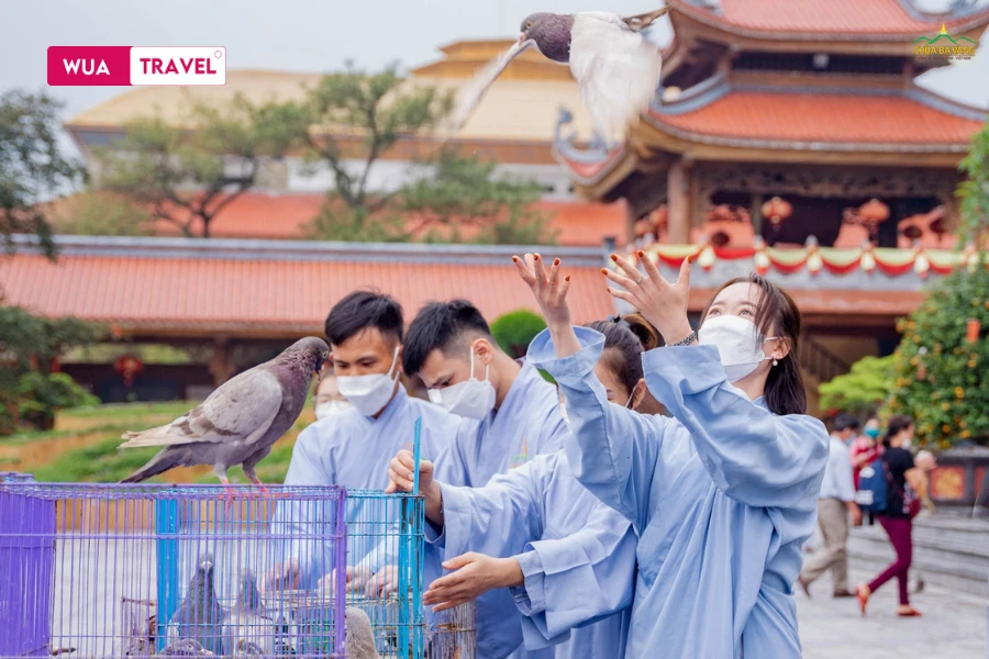Animal release ceremony – a meaningful act of compassion and mercy.
