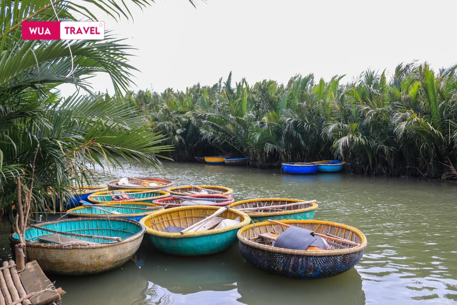 Basket boat tour in Cam Thanh Coconut Forest - unique Hoi An experience