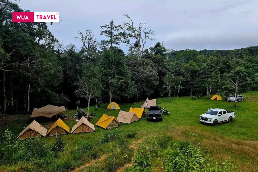  Camping in Da Lat - starry nights on the highland plateau