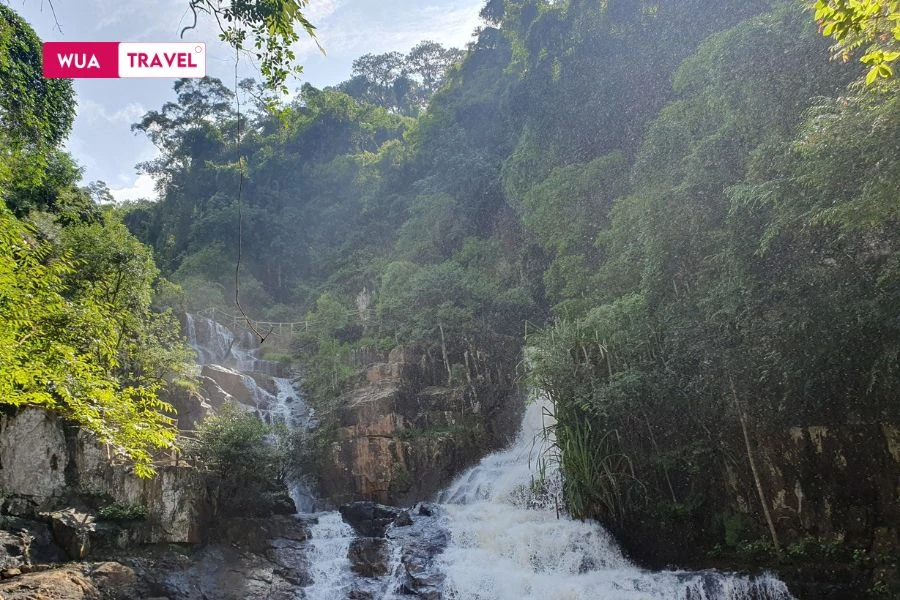 Datanla Waterfall - crystal clear mountain stream cascading through Da Lat forest landscape
