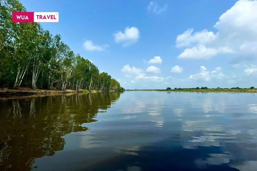 Dong Thap Muoi Wetland - fertile alluvial land with unique ecosystem. 