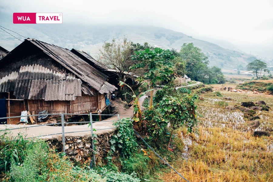 Lao Chai – Ta Van - most beautiful trekking route in Sapa