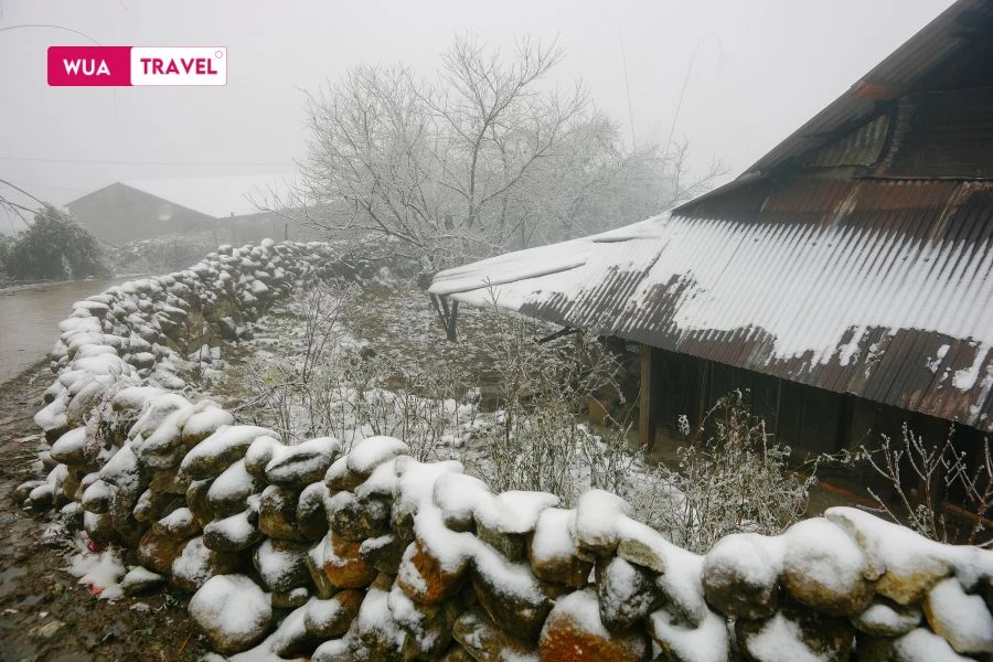 Sapa is draped in pristine white, as snow blankets the mountains in a mesmerizing winter scene.