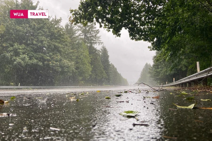 Storm season - nature's magnificence with the power of wind and rain. 