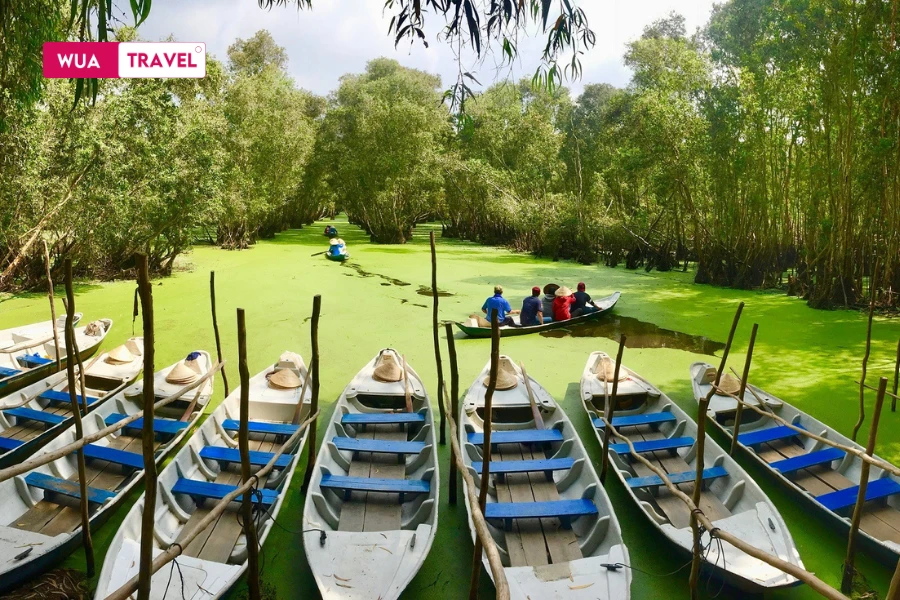 Tra Su Cajuput Forest in floating season – lush greenery of the Mekong Delta.