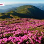 Vietnam in April – blooming flowers, clear skies, and a peaceful heart.