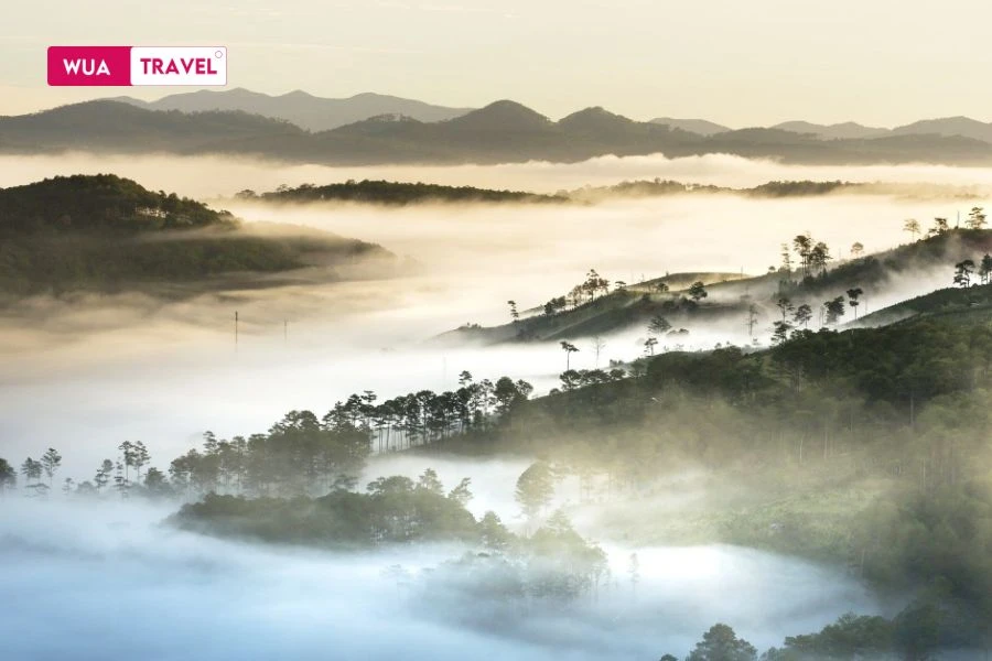Cloud hunting at Thien Phuc Duc Hill – a magical experience in Dalat’s early morning.