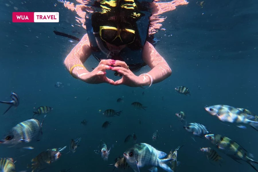 Snorkeling at Hon Mong Tay – a vibrant coral world beneath emerald waters.