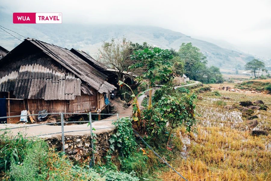 Lao Chai – trekking through clouds and terraced hills.