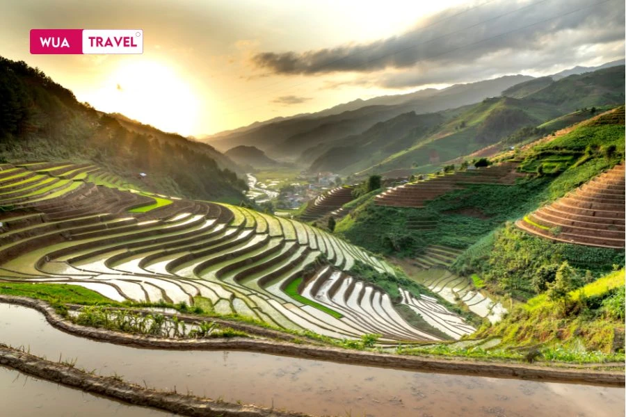 Terraced fields – graceful undulating soil waves amidst the highlands.