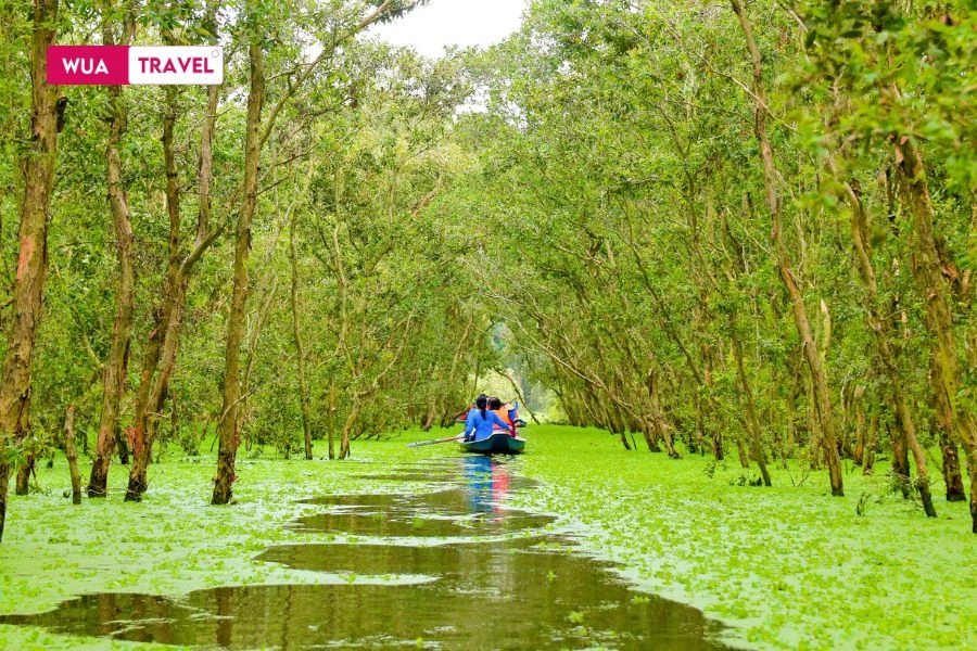 Tra Su Forest – lush waterways and an unexpected sense of peace.